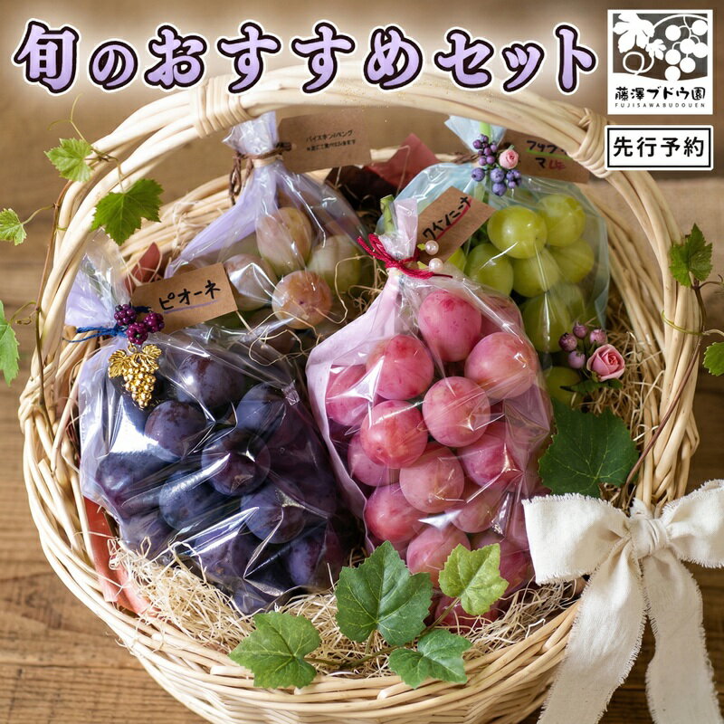 【ふるさと納税】【 藤澤ブドウ園 】 旬 の おすすめ セット 約2.5kg 2026年産 先行予約 ぶどう 葡萄 巨峰 高級 シャインマスカット
