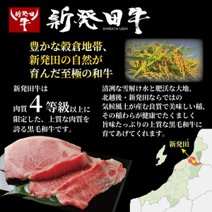 リブロース しゃぶしゃぶ すき焼き 260g 牛肉 ロース 霜降り 新発田牛 にいがた和牛 和牛 赤身 焼肉 ふるさと納税 和牛 BBQ キャンプ 特選 贅沢 厳選和牛 ブランド牛 ギフト 贈答 お歳