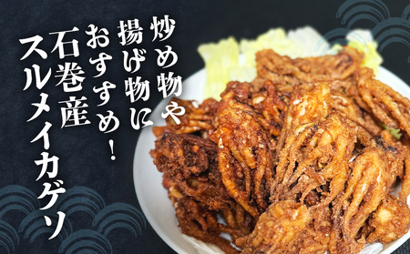 【3月配送】訳あり 石巻産スルメイカゲソ 4kg 冷凍 国産 いか 下足 おつまみ ゲソ天 焼イカ おかず
