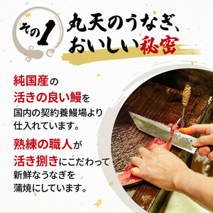 うなぎ 国産 蒲焼 160g ×2 計320g 鰻蒲焼 ウナギ JAS認定 活鰻 自家製蒲焼のたれ 山椒 丑の日 ギフト 贈答 冷凍 養殖 真空パック レンジ 調理 湯煎 まとめ買い 静岡県 藤枝(う