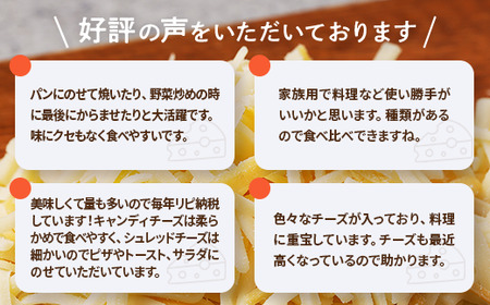 シュレッドチーズ＆キャンディーチーズセット(1) (超極細1mmナチュラルシュレッドチーズ＆キャンディチーズ) [3386]