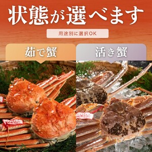 【11月〜1月発送】 特撰 松葉がに タグ付き 1kg超の大きいサイズ 特大2杯 ボイル 着日指定不可 N53_Y （松葉ガニ カニ ずわいがに 期間限定）