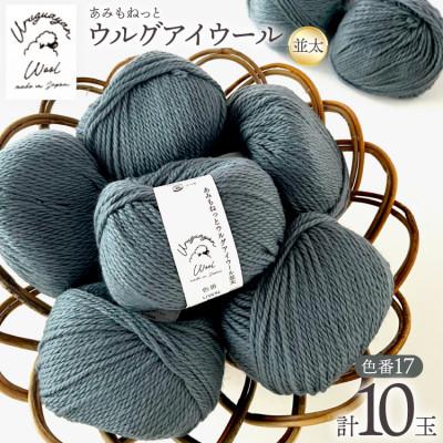 ふるさと納税 江南市 あみもねっと ウルグアイウール並太 17番色 10玉セット