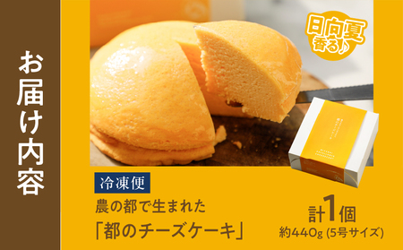 農の都で生まれた「都のチーズケーキ」計1個 スイーツ 洋菓子 国産_T038-009
