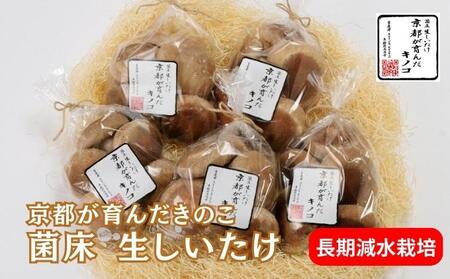 しいたけ 野菜 京都が育んだきのこ 長期減水栽培 菌床 野菜