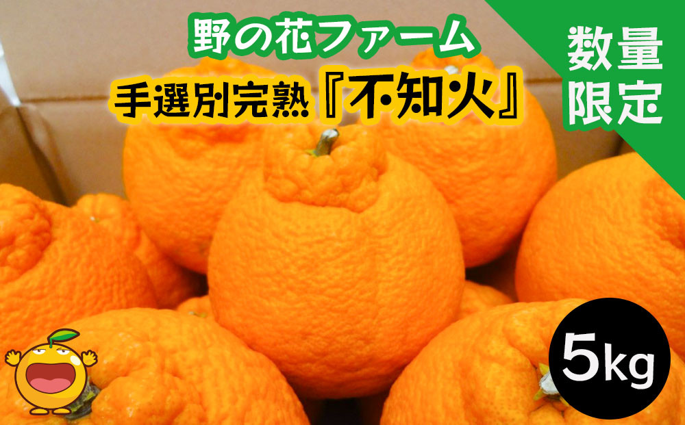 
            【先行予約・数量限定】野の花ファーム 不知火 6kg 手選別完熟 みかん ミカン オレンジ フルーツ 柑橘類 大分県産 九州産 津久見市 国産
          