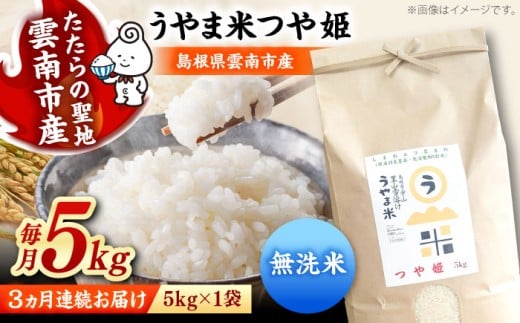 お米【全3回定期便】【無洗米】神話の里/吉田町「うやま米」つや姫 5kg（5kg×1）無洗米 精米 コメ おこめ お米 つやひめ 定期便 おすすめ 人気 米 ごはん ご飯 食卓 主食 ブランド米 お取り寄せ グルメ ご当地米 家族 ファミリー 一人暮らし 便利 おいしい ごはんソムリエ 国産 新生活 お弁当 朝ごはん 朝食 昼食 ご当地  島根県雲南市/有限会社藤本米穀店 [AIDB095]