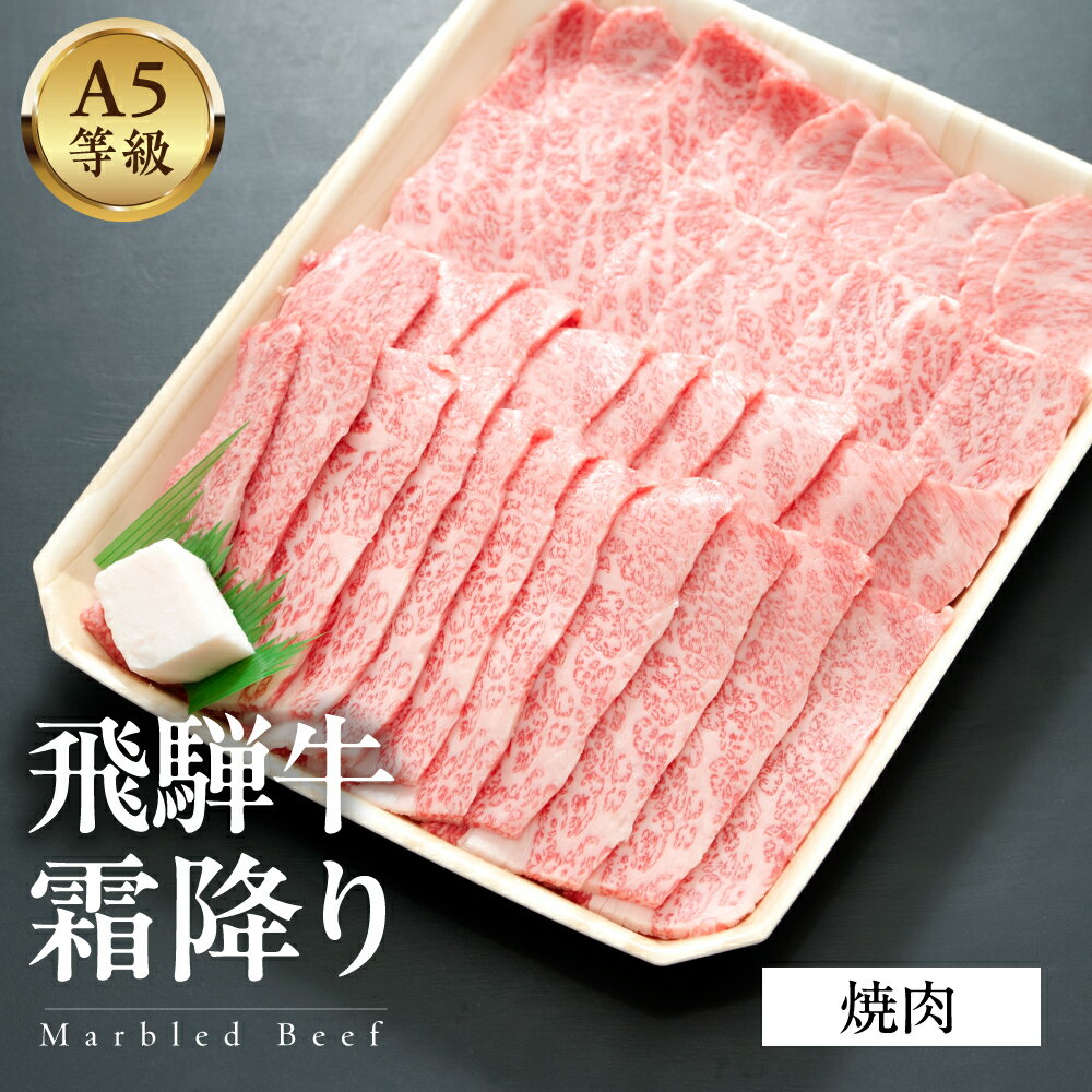 【ふるさと納税】 A5等級飛騨牛 霜降り焼肉 1kg/ 500g/ 300g 焼肉 和牛 雌牛 メス牛 A5 牛肉 国産牛 霜降り 高級肉 ギフト 贈答用 お歳暮 お中元 内祝い 誕生日