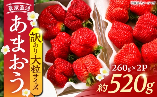 【2027年1~4月発送】農家直送 大玉規格 特大 大粒 あまおう 2パック（1パック2〜9玉）《豊前市》【内藤農園】[VAB023] 果物 苺 イチゴ あまおう アマオウ 福岡 フルーツ いちご 先行予約