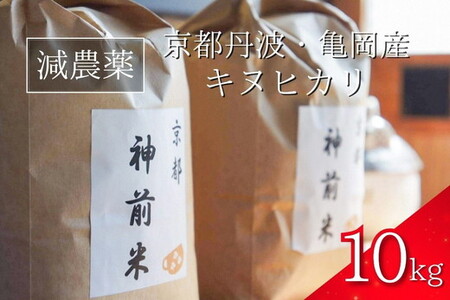 京都・神前米 キヌヒカリ 10kg☆精米したてをお届け≪減農薬 自家栽培米 生産農家 直送 米 令和5年産 精米 クリーン白米≫