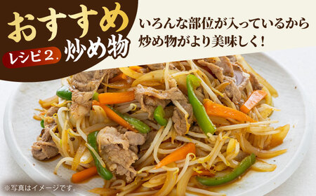 佐賀牛切り落とし500g HBH128 切り落とし 佐賀牛 国産 和牛