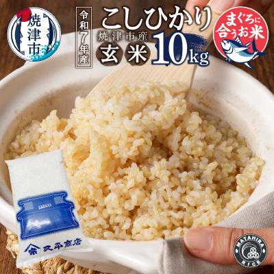ふるさと納税 焼津市 新米　令和7年産 マグロによく合うお米 玄米 コシヒカリ 10kg(5kg×2袋)(a32-040)