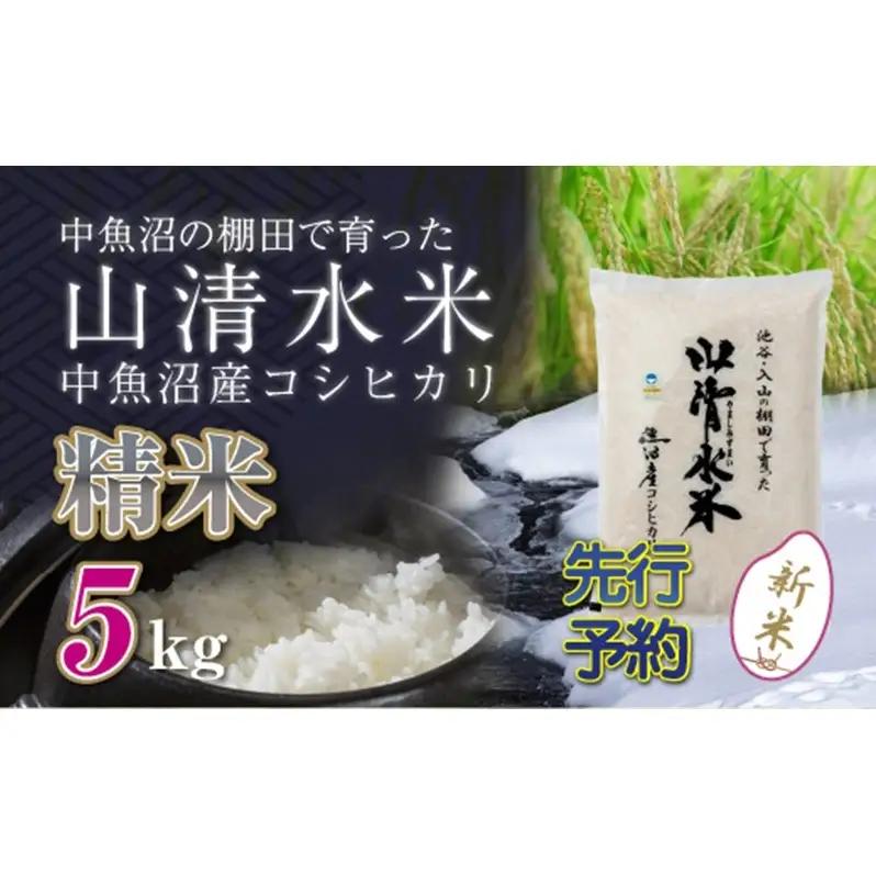 【令和8年産 先行予約】新潟県魚沼産コシヒカリ「山清水米」精米5kg