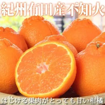 【ご家庭用】紀州有田産不知火(しらぬひ) 約8.5kg【日高町】【1216961】