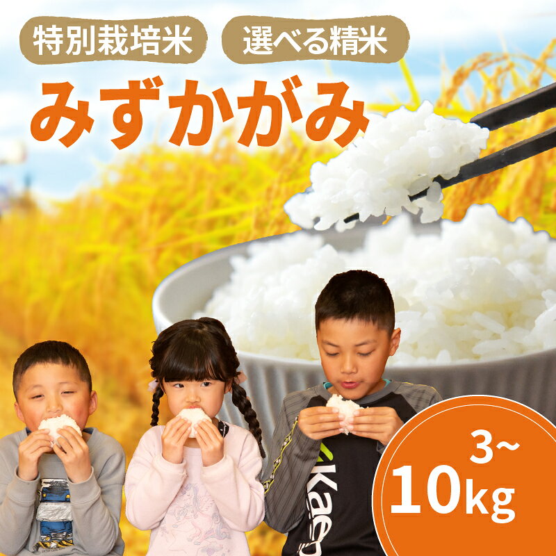 【ふるさと納税】 みずかがみ 白米 or 玄米 3kg ~ 10kg 2025年産 竜の舞 特別栽培米 国産 安心 安全 近江米 米 お米 白米 お弁当 玄米 産地直送 滋賀県 竜王町 送料無料