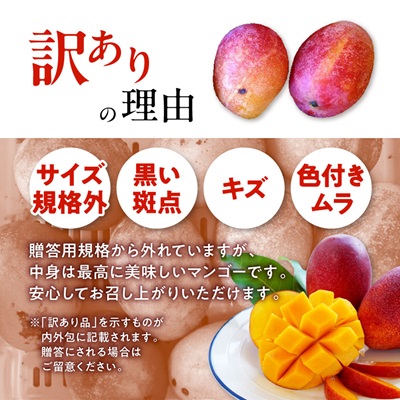 【2026年7月から順次発送・訳あり】燦々マンゴー2.4kg(4～6玉)【配送不可地域：離島】 2.4㎏（4～6玉）