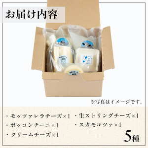 y466 放牧牛乳の手作りチーズセット(5種) 国産 鹿児島県産 湧水町産 乳製品 ちーず 生チーズ モッツァレラチーズ ボッコンチーニ クリームチーズ ストリングチーズ スカモルツァ 調味料 おつま