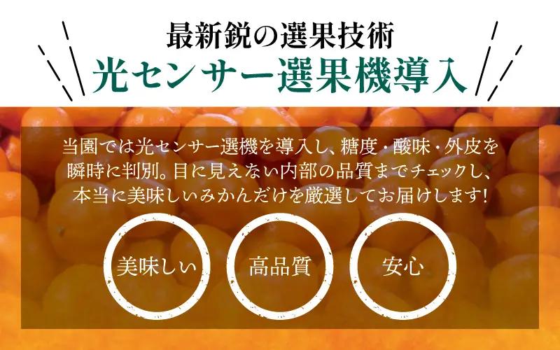 有田 みかん 訳あり 4kg 光センサー 選別 / 温州みかん 有田みかん 甘い 家庭用 和歌山 柑橘 ※2026年12月順次発送 ※北海道・沖縄・離島への配送不可 【nuk004-c-4-decH】
