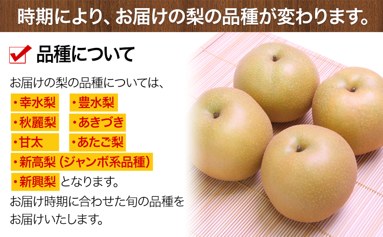 くまもと梨 梨 秋 旬 なし 幸水 豊水 先行 果物 くだもの フルーツ ナシ 梨 先行予約 送料無料 あきづき 甘太 新高 新興 約3.5kg 5玉〜15玉前後 熊本県産【着日指定不可】《8月下旬‐