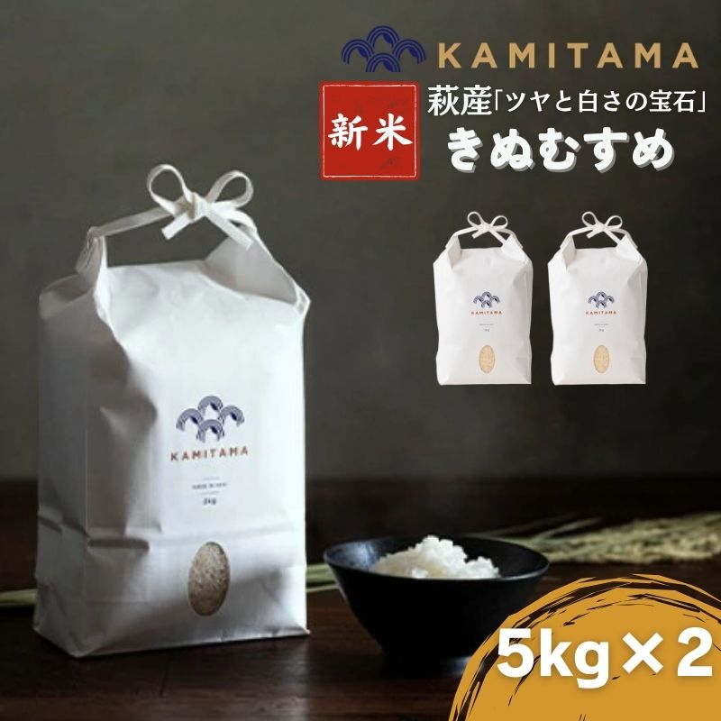 【ふるさと納税】きぬむすめ 令和7年 5kg×2袋 セット 米 コメ こめ 萩産 KAMITAMA