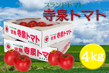 【2026年発送】長井が誇る桃太郎系ブランドトマト「寺泉トマト」約4kg(2kg×2箱)_H101(R8)