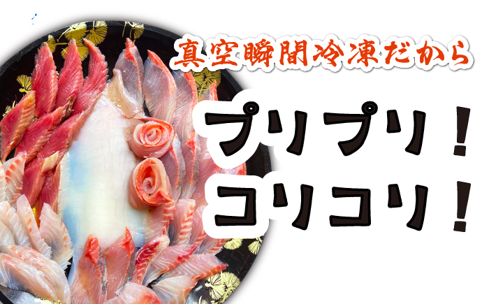 【全3回定期便】対馬 イカ 姿造り と 刺身 の セット 【真心水産】《対馬市》新鮮 海鮮 いか 冷凍 刺身 ケンサキイカ 島魚 海鮮丼 手巻き寿司 [WAK013]