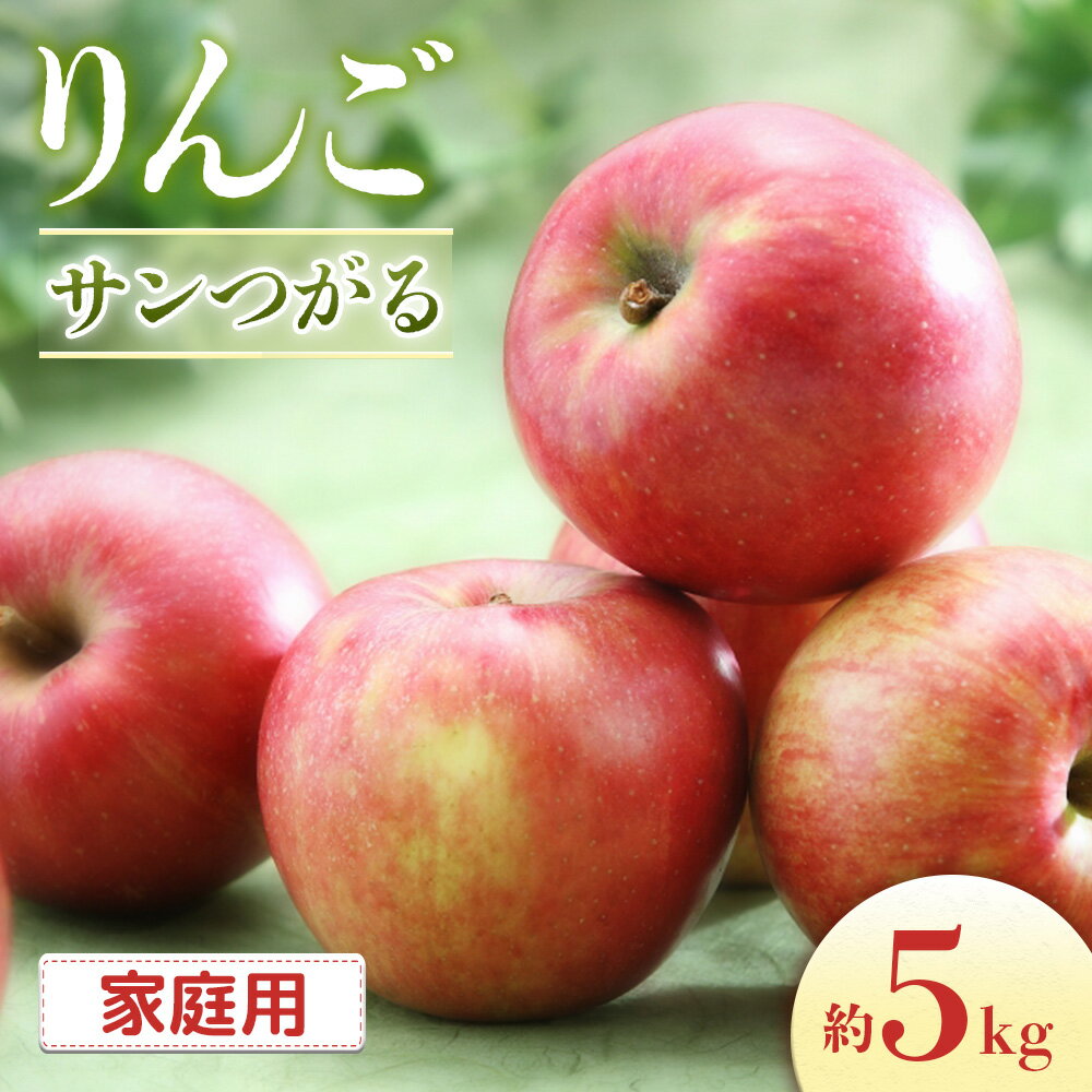 【ふるさと納税】＜先行予約＞りんご　サンつがる＜ご家庭用＞【16〜20玉】※2025年8月下旬〜9月上旬配送※