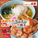 【ふるさと納税】佐野餃子(大)10個2人前×2パックと濃縮佐野ラーメン6人前_ ラーメン 餃子 セット 佐野 栃木県 人気 おすすめ 送料無料 贈答 ギフト プレゼント 中華 冷凍 永華 佐野餃子 佐野ラーメン 【配送不可地域：離島・沖縄県】【1061579】