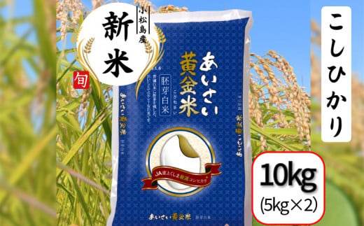 【選べる容量】令和6年産 新米 あいさい黄金米 10kg(5kg×2） 胚芽白米 徳島県 コシヒカリ 2キロ 5キロ 6キロ 10キロ