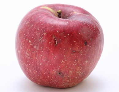 A-36 りんご サンふじ※訳あり品※ 約10kg【20～40玉】