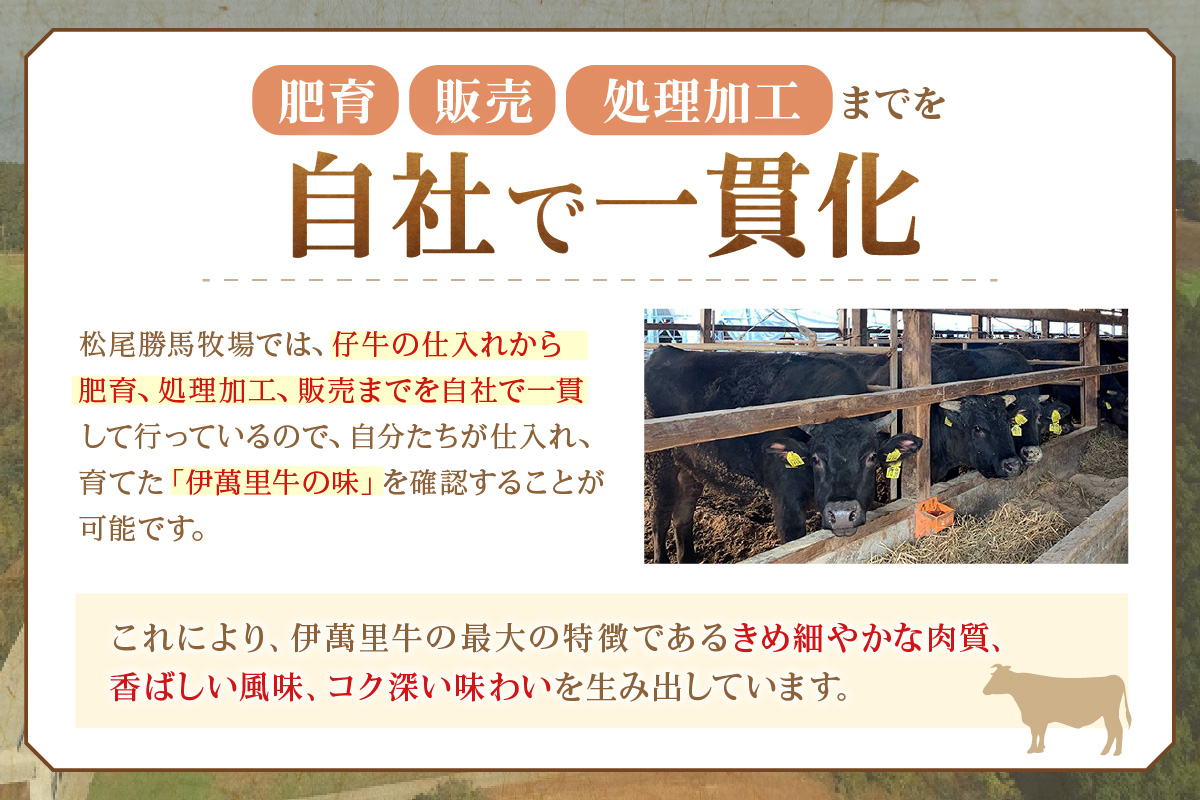 伊萬里牛100% 手作り 勝ハンバーグ 10個 007-J1772
