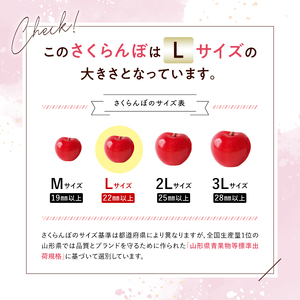 【令和7年産先行予約】 さくらんぼ 「佐藤錦」 約1kg (約500g×2パック 秀 L以上) バラ詰め 《令和7年6月中旬～発送》 『マルタニ農園』 小分け サクランボ 山形県 南陽市 [1217]