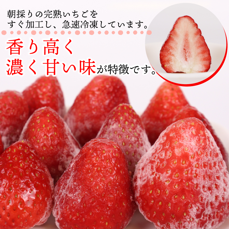 冷凍 いちご 苺 1kg 完熟 紅ほっぺ ヘタ取り いちご 静岡 限定 苺 冷凍いちご 果物 スイーツ いちご 紅ほっぺ 牧之原市 デザート フルーツ スイーツ アイス ジャム シャーベット ベリー 