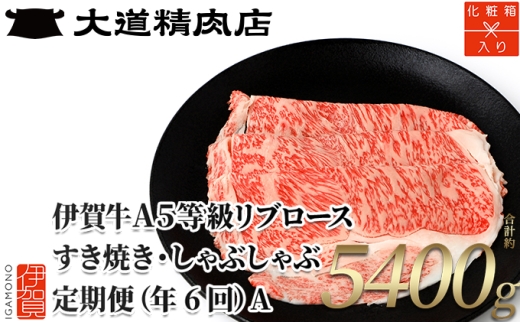 【化粧箱入 伊賀牛】 A5リブロース 900g 6回定期便コースA【dido-tkb0019】