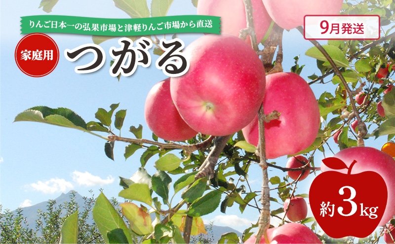 
            [№5554-0275]【 9月発送 】 家庭用 つがる 約 3kg 【 青森県鶴田町産 りんご 青森りんご 】果物類 フルーツ 林檎 リンゴ 鶴田町 青森県 おやつ デザート
          