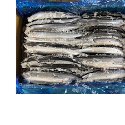 ふるさと納税 宮古市 冷凍サンマ　10kg |  | 01