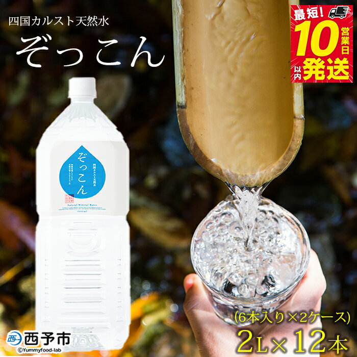 【ふるさと納税】＜四国カルスト天然水ぞっこん 2L(6本入り)×2ケース 計12本＞ 飲料 水 みず 中硬水 弱アルカリイオン水 ペットボトル ウォーター バナジウム 備蓄 防災 非常用 キャンプ アウトドア 国産 ぞっこん四国 愛媛県 西予市【常温】『最短10営業日以内に発送予定』