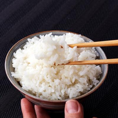 ふるさと納税 三条市 先行受付 コシヒカリ 5kg 新潟県三条市下田産こしひかり 令和7年産 【010S180】 |  | 02