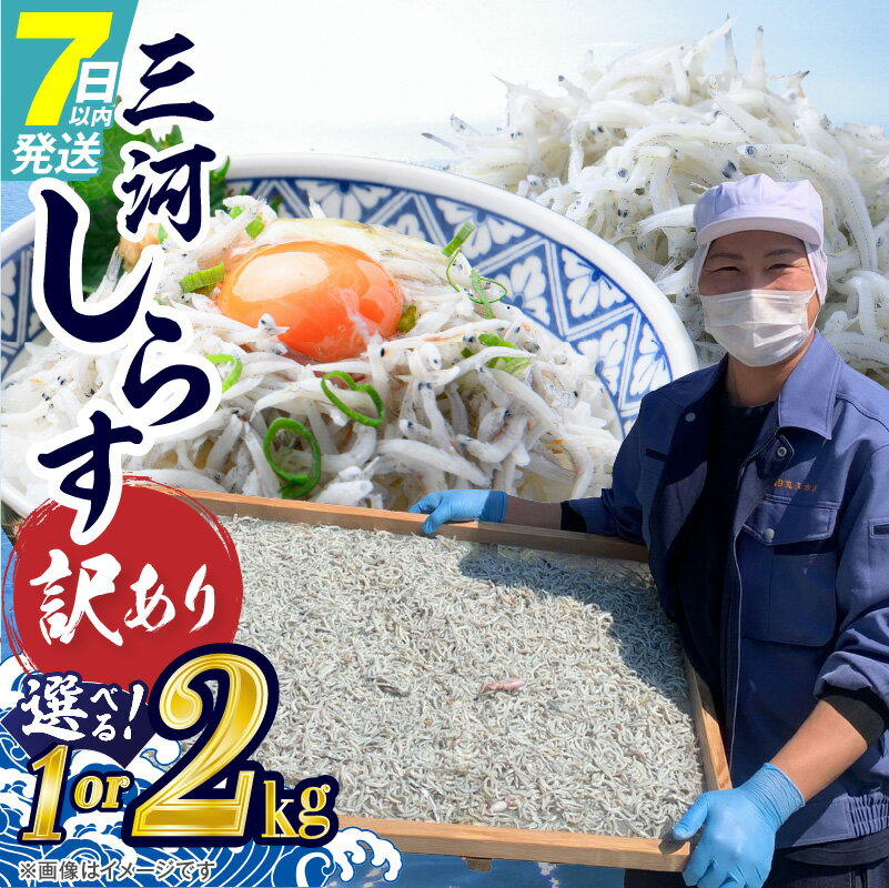 【ふるさと納税】訳あり しらす干し 選べる容量 1～2kg 三河しらす 国産 新鮮 しらす 釜茹で 塩分控えめ まろやか うま味濃縮 やみつき ごはんのお供 おつまみ しらす丼 パスタ サラダ 魚 海産物 冷凍 お取り寄せ グルメ 食品 愛知県 碧南市 送料無料