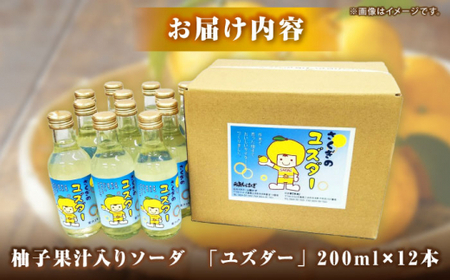 ユズダー12本セット 三次市/NPO法人 元気むらさくぎ[APAY001]