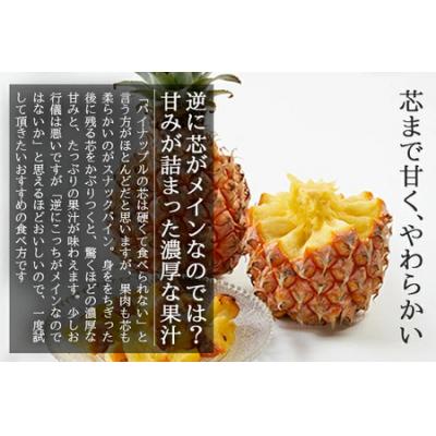 ふるさと納税 石垣市 <先行予約> 農家直送!石垣島産 スナックパイン 3玉入 約1.8kg (1.6〜2.0kg) <2 |  | 02