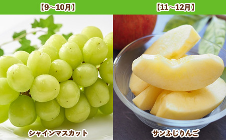 【定期便5回】山形人気果実ベスト５ FY25-284