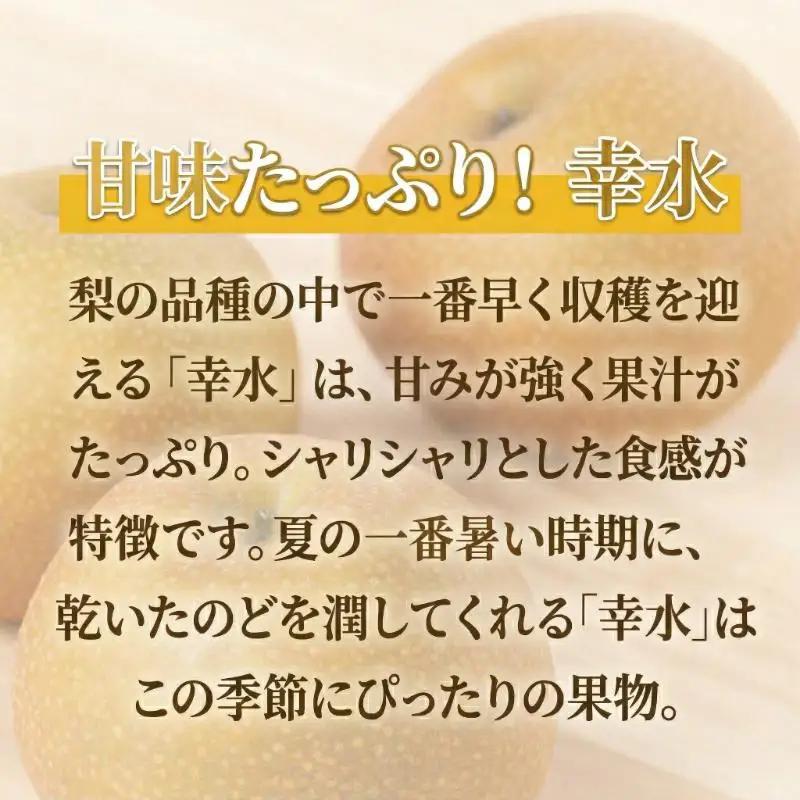 フルーツ 柏市産 梨 幸水 5kg 先行予約 フルーツ