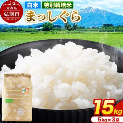 ふるさと納税 弘前市 米【特別栽培米】まっしぐら 白米 15kg(5kg×3袋)令和7年産|24_mft-071501