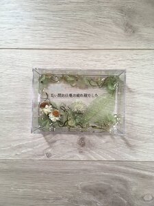 ハーバリウムプレート いつもありがとう （オイル少量タイプ） グリーン ／ 雑貨 玄関 小物 kanon インテリア プリザーブドフラワー ドライフラワー ハンドメイド品 奈良県 田原本町