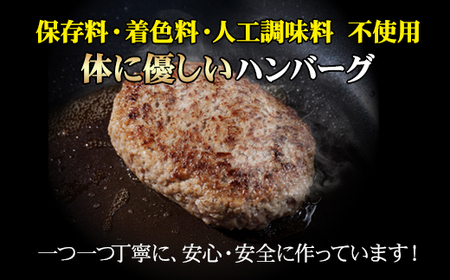 特製 佐賀牛ハンバーグ（150gx12個）計1800g B140-024 ブランド牛 佐賀牛 ジューシー 豚肉 冷凍保存 ハンバーグ 焼くだけ ミンチ肉 豚ミンチ 佐賀産豚 合い挽き 国産 佐賀県産 