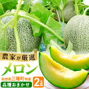 【ふるさと納税】三種町特産 品種お任せ メロン 2玉箱