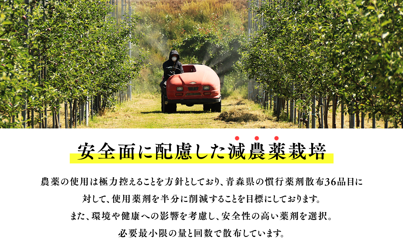 青森県産りんご使用　ジャム＆バターセット（各150g計300g）【青森県 平川市 そと川りんご園】