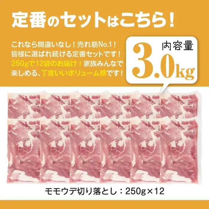 鹿児島県産 豚肉 切り落とし (計3.0kg)【Rana】A1016-v02