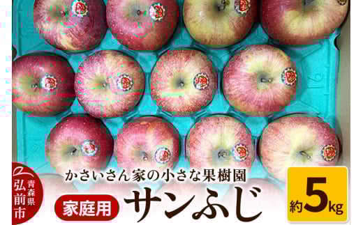 りんご サンふじ 約5kg【家庭用】